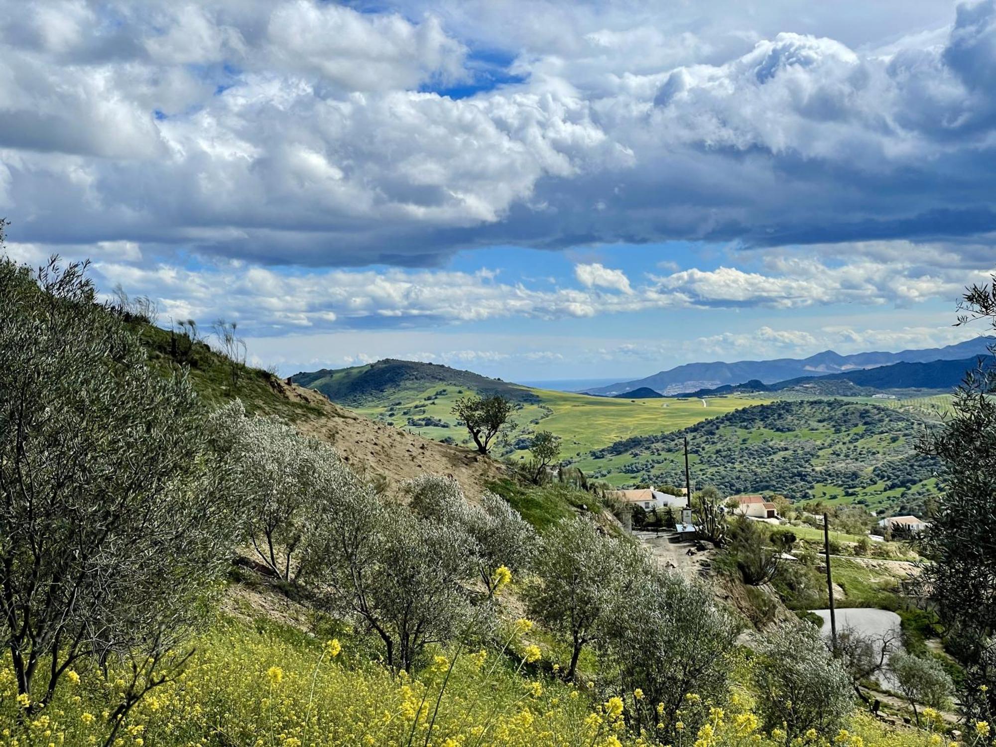 Finca El Sueno Andaluz Villanueva de la Concepción 外观 照片