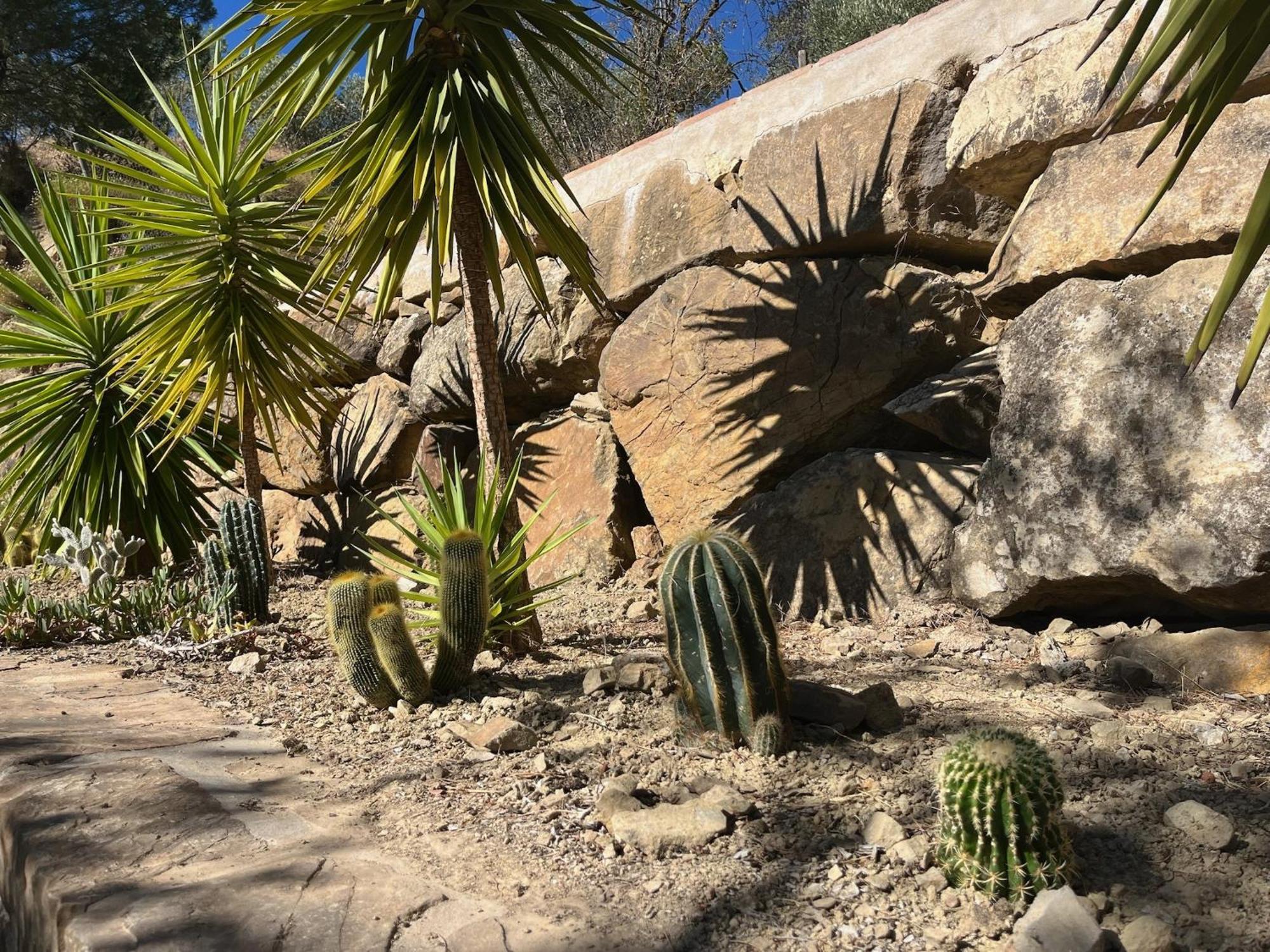 Finca El Sueno Andaluz Villanueva de la Concepción 外观 照片