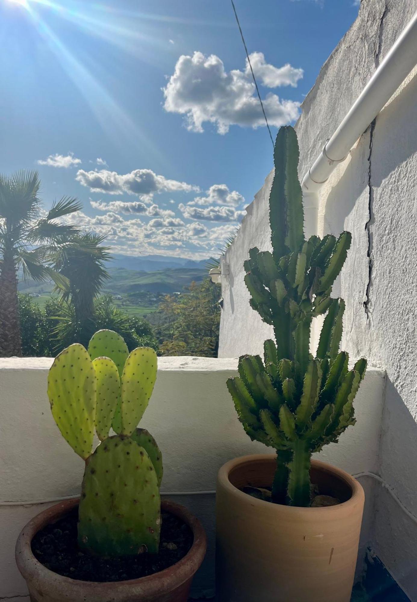Finca El Sueno Andaluz Villanueva de la Concepción 外观 照片